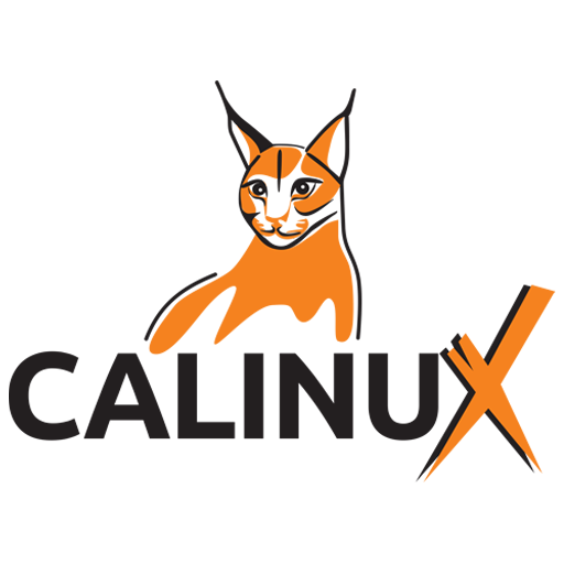 CALINUX IT – Administrare și Securitate IT pentru Firme